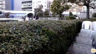 怡红院首页欧美在线,国产精品免费大片一区二区高清